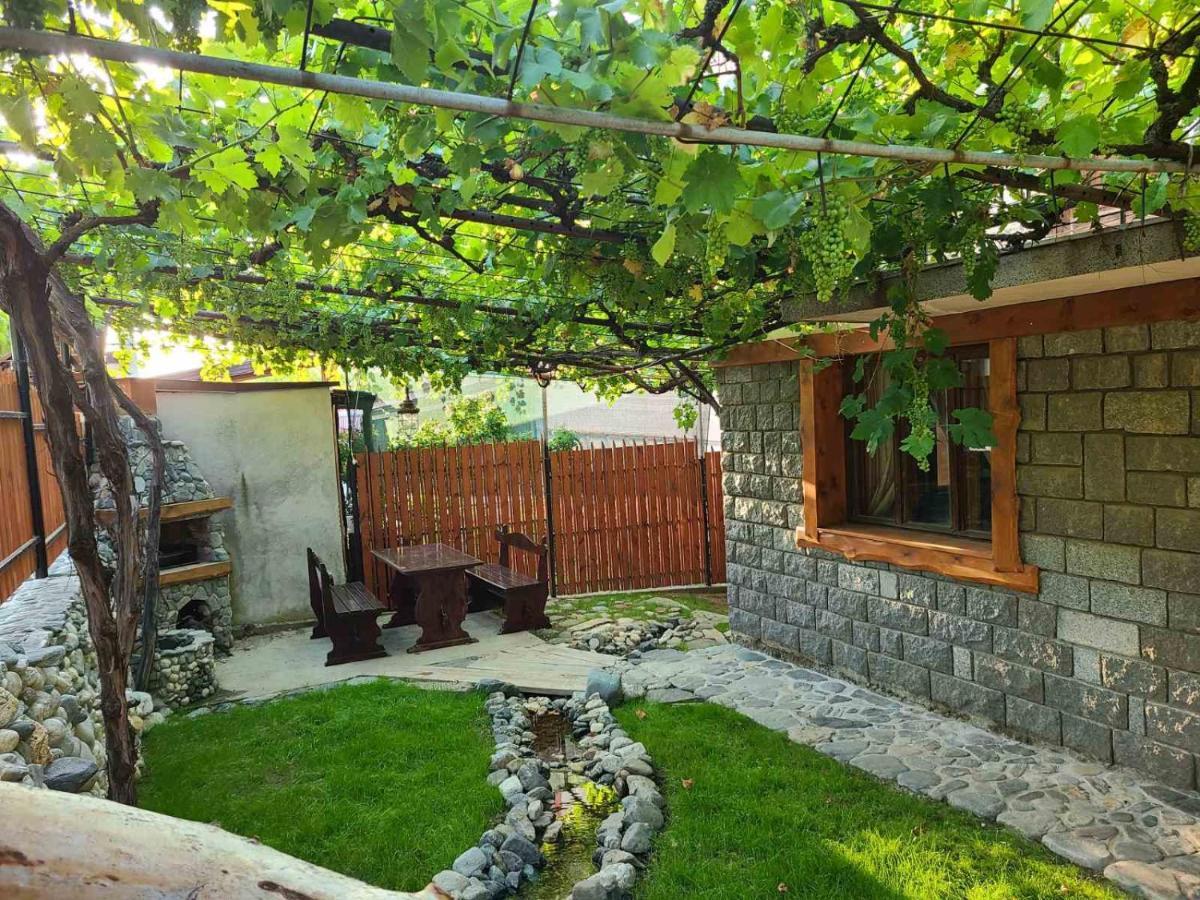 Вила 111 Sapareva Banya ภายนอก รูปภาพ