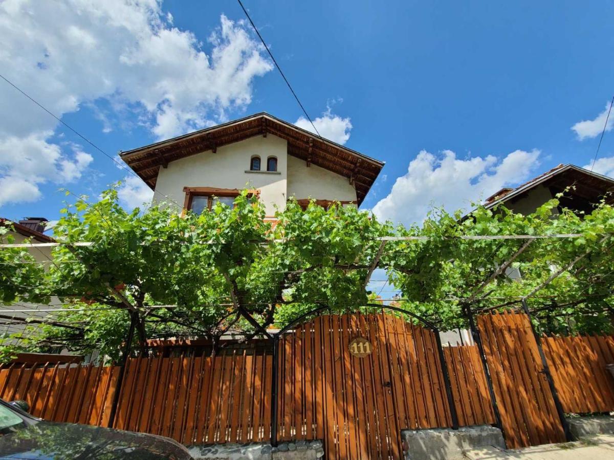 Вила 111 Sapareva Banya ภายนอก รูปภาพ